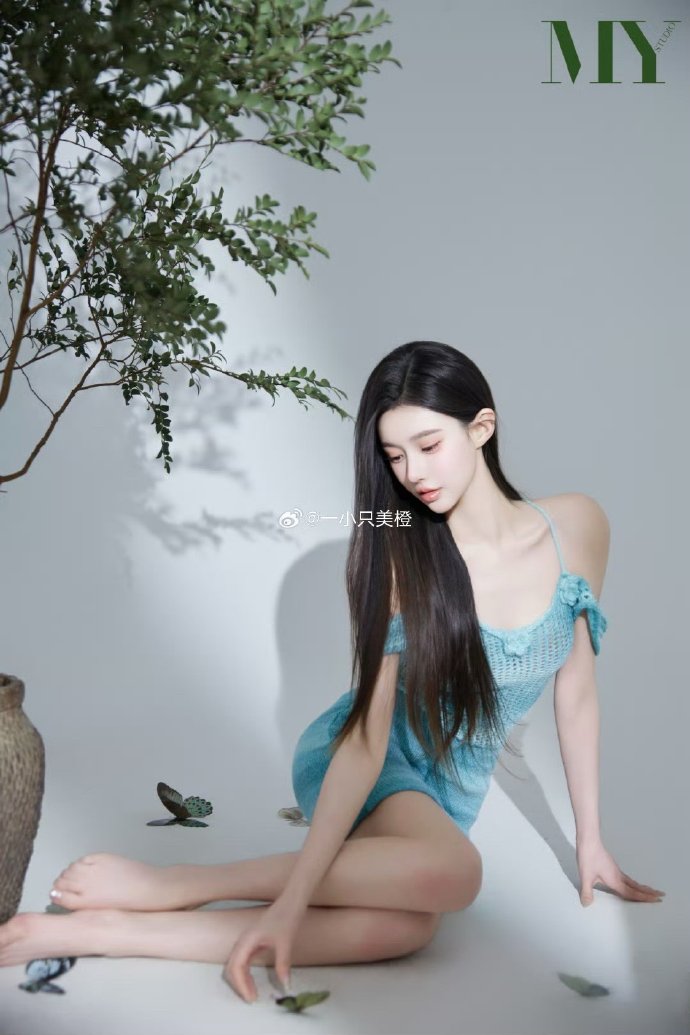与凤行 封面